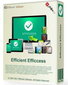 Efficient Efficcess 2019