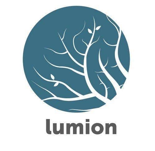 Lumion Pro