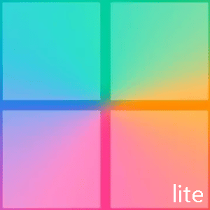 Windows 11 Pro Lite